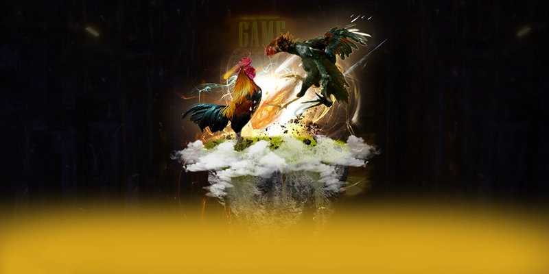 
Khám phá SA88 - Cổng cá cược có thưởng lớn được cộng đồng đánh giá cao
