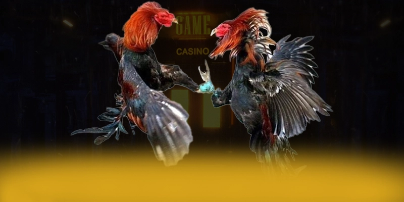 tài xỉu online – Cổng cá cược được đánh giá cao, được cộng đồng game thủ tin tưởng.