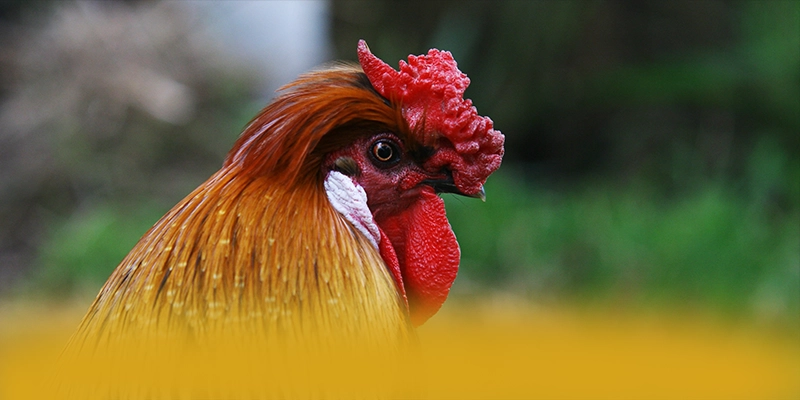 SUNWIN - Cổng trò chơi tốc độ cao số 1 Việt Nam