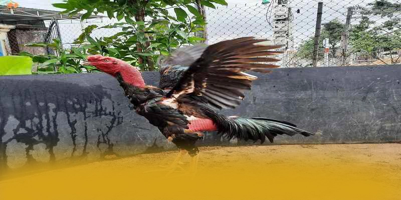 GEM88 - Sảnh game phổ biến hàng đầu số 1 Việt Nam