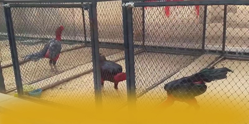 tài xỉu online - Cổng game hấp dẫn được yêu thích hàng đầu – Khám phá tài xỉu online tài xỉu online - Cổng game hấp dẫn được yêu thích hàng đầu – Khám phá tài xỉu online