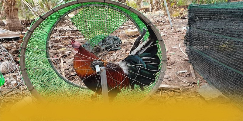 GO8 - Sảnh game đáng tin cậy được giới chuyên môn đánh giá cao – Cập nhật thông tin về GO8